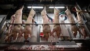 Mitarbeiter eines Schlachthofs zerteilen am Fließband hängende Schweine. © dpa-Bildfunk Foto: Mohssen Assanimoghaddam