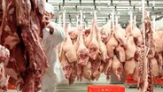 Viele Schweinehälften hängen in einer Kühlhalle im Schlachthof, ein Mann verschiebt die Schweinehälften. © fotolia Foto: fineart-collection