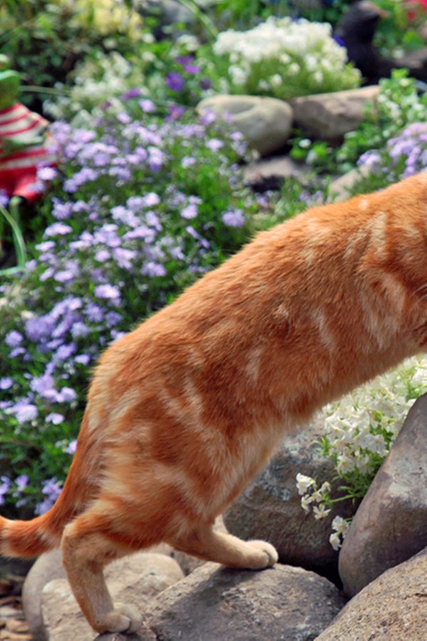 Tipps Fur Heim Und Garten Ndr De Fernsehen Sendungen A Z