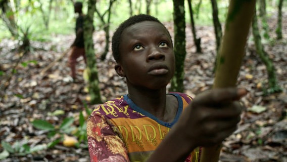 Ein Kindersklave auf einer Kakaoplantage in der Côte d’Ivoire. © NDR/HTTV/Michael Höft 