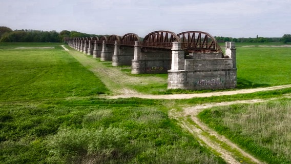 Blick auf die Ruine der ehemaligen Dömitzer Eisenbahnbrücke von schräg vorn. Die Brücke endet im Nichts über einer Wiese. © NDR | Michael Höft/HTTV-Produktion 