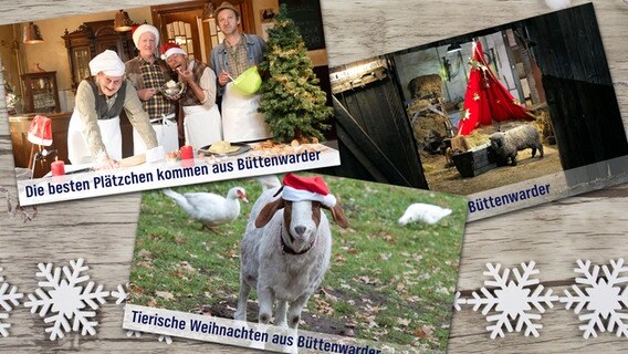 Grußkarten liegen auf einem weihnachtlich dekorierten Holztisch. © NDR, fotolia Foto: Nicolas Maack, Angela Rohde