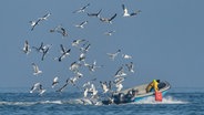 Ein Fischerboot fährt über die See. © NDR Foto: Klaus Haase aus Prerow