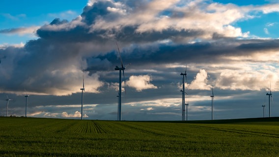 Windkraftanlagen auf einem Feld. © NDR Foto: Uwe Kantz aus Hinrichshagen