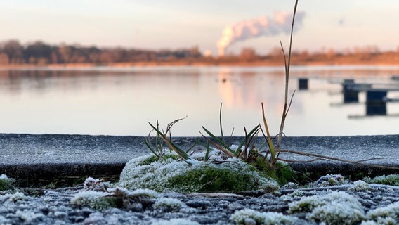 Frostiges Moos am Rostocker Stadthafen mit Blick auf das Kraftwerk. © NDR Foto: Florian Jeschke aus Rostock