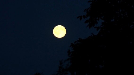 Vollmond © NDR Foto: Olaf Steinbach aus Rostock