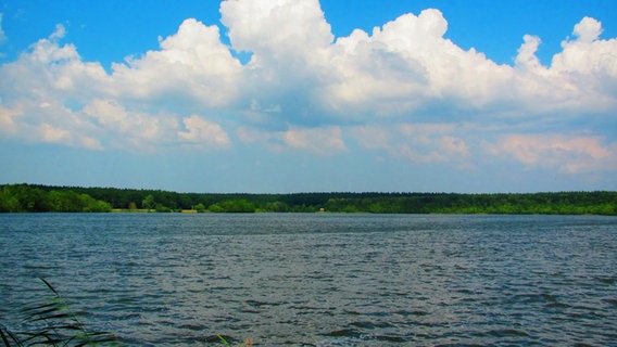 Seeblick und bewölkter Himmel © NDR Foto: Manfred Bergholz aus Waren-Müritz