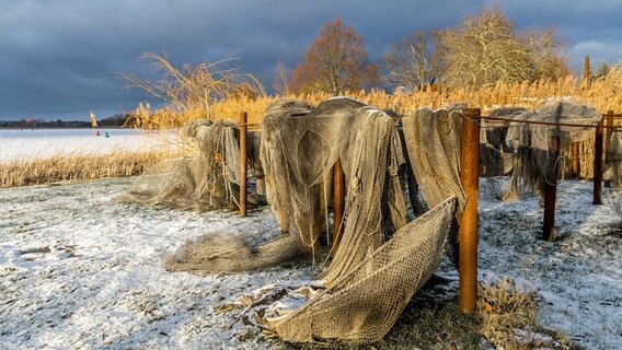 Aufgehangene Fischernetze an einem Seeufer. © NDR Foto: Wilfried Baganz aus Neustrelitz