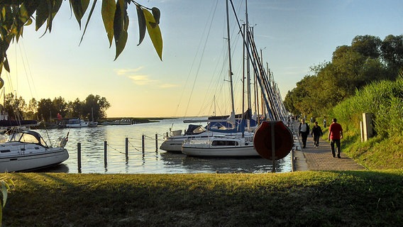 Spaziergänger am Hafen von Mönkebude. © NDR Foto: Jörg Görlich aus Torgelow