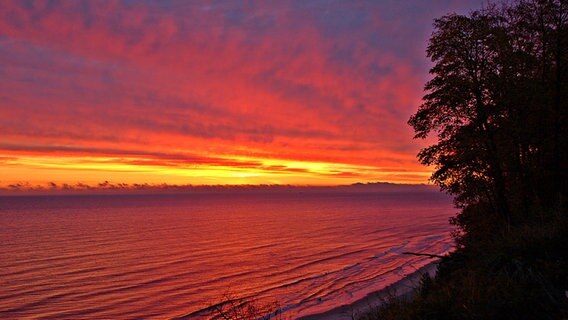 Roter Sonnenaufgang © NDR Foto: Anja Köster aus Bansin