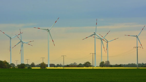 Windkraftanlagen zwischen Rapsfeldern © NDR Foto: Werner Bayer aus Neubrandenburg