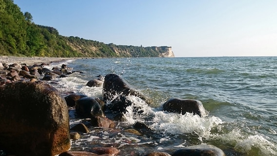 Ostseestrand auf Rügen © NDR Foto: Corinna Schaak aus Wiek