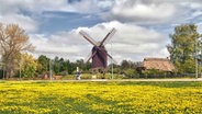 Bockwindmühle in Greifswald-Eldena © NDR Foto: Dieter Schmidtke aus Greifswald