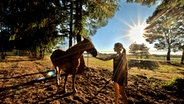 Eine Frau und ein Pferd auf einer Koppel © NDR Foto: Uwe Meyer aus Lübtheen