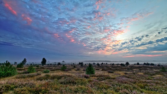 Weiter Blick über die Lübtheener Heide © NDR Foto: Uwe Meyer aus Lübtheen