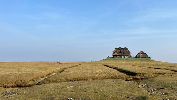 Die Häuser auf den Halligen sind auf Warften gebaut. Die künstlichen Hügel schützen sie und die Bewohner während einer Sturmflut. Landunter heißt es dann. Um die 30 mal im Jahr werden die Halligen von der Nordsee komplett überschwemmt. © NDR/Bärbel Fening 