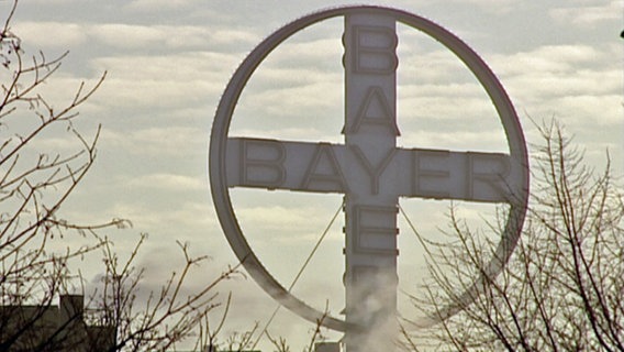 Bayer © Screenshot 