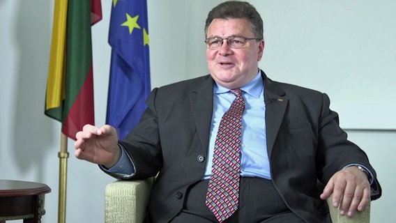 Linas Antanas Linkevičius © Screenshot 