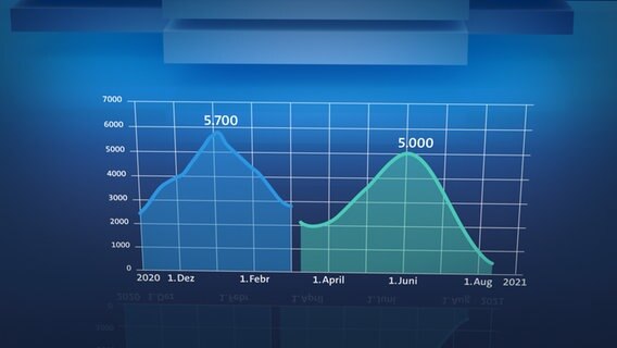 Grafik 1.1 © NDR Foto: Screenshot