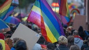 Demonstranten in Neubrandenburg mit Regenbogenfahnen. © picture alliance/dpa Foto: Stefan Sauer