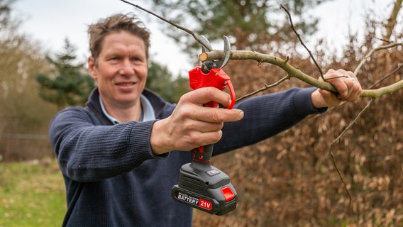 Mit den elektrischen Gartenscheren schafft man auch dicke Äste. © NDR/Udo Tanske 