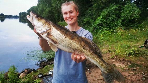 Zackiger Zander aus der Weser. Jessica Brockmann freut sich über den Ausnahmefisch. © NDR 