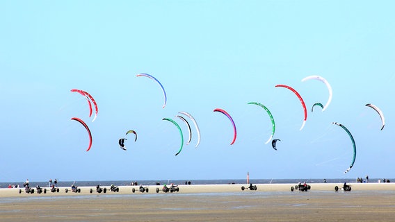 Eine Menge Kite-Buggys fahren am Strand in St. Peter-Ording. © NDR Foto: Boris Pfau