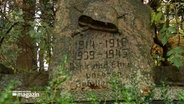 Ein großes Grabstein steht zwischen Pflanzen und trägt den Schriftzug "1914 - 1918 1939 - 1945 Dank und Ehre unseren Gefallenen". © NDR 