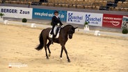 Eine junge Frau reitet auf einem Pferd in einer Manege. © NDR 