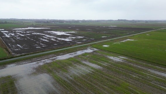 Überschwemmte Felder © NDR Screenshot Foto: NDR
