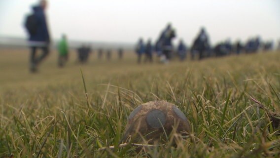 Eine Boßel-Ball liegt auf einer Wiese. © NDR 