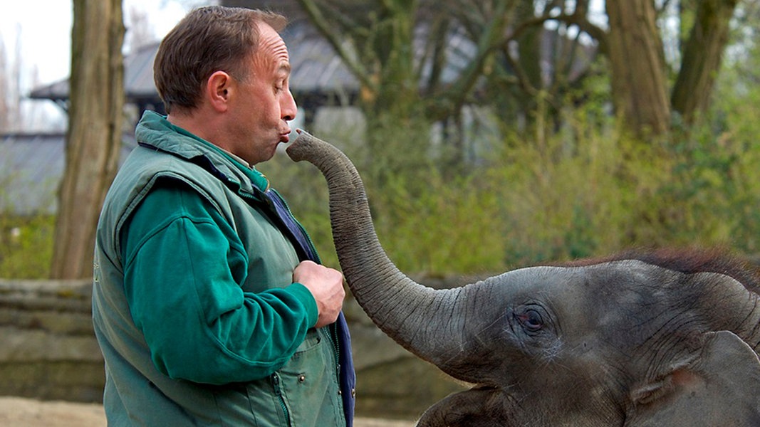 Tierpark hagenbeck thorsten köhrmann