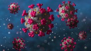 Eine Grafik von Corona-Viren © Colourbox Foto: Anterovium
