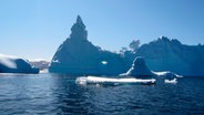 Eisberg in Grönland © NDR 