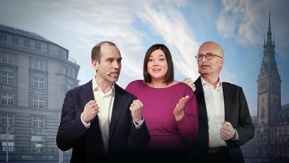 Collage: Dennis Thering (CDU), Katharina Fegebank (Grüne), Peter Tschentscher (SPD) vor dem Hamburger Rathaus. © NDR/picture alliance/dpa/Westend61/Marcus Brandt/christian Charisius 