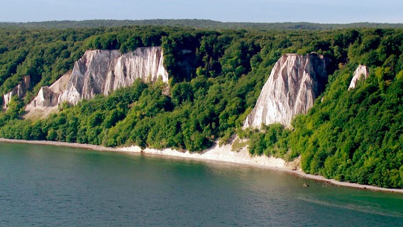 Die Kreideküste auf Rügen. © NDR 