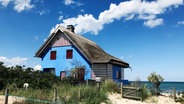 Ein Reetdachhaus an der Ostsee auf der Halbinsel Graswarder. © NDR/Maik Vukan 