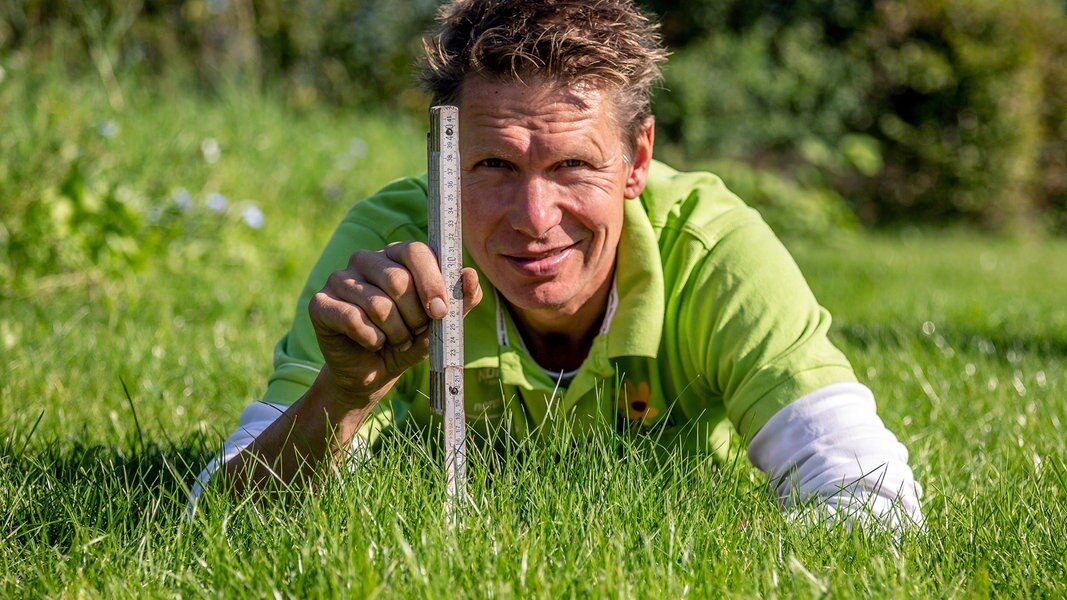 Rasch durch den Garten NDR.de Fernsehen Sendungen AZ