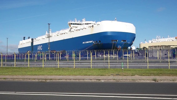 Ein Frachtschiff mit Giftspinnen an Bord steht im Hafen von Bremerhaven. © Nord-West-Media TV 