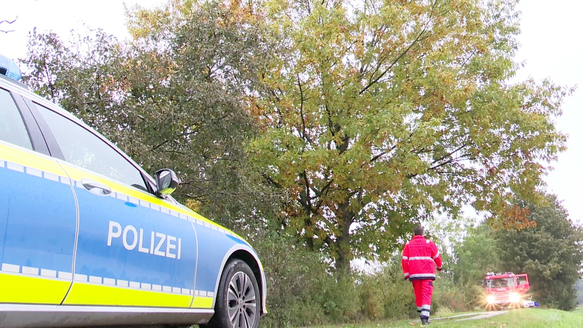 Verfolgungsjagd mit der Hamburger Polizei endet auf Baum