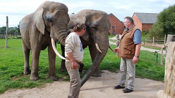 Tamme Hanken besucht den Elefantenhof Platschow in Mecklenburg-Vorpommern © NDR / Miramedia GmbH 