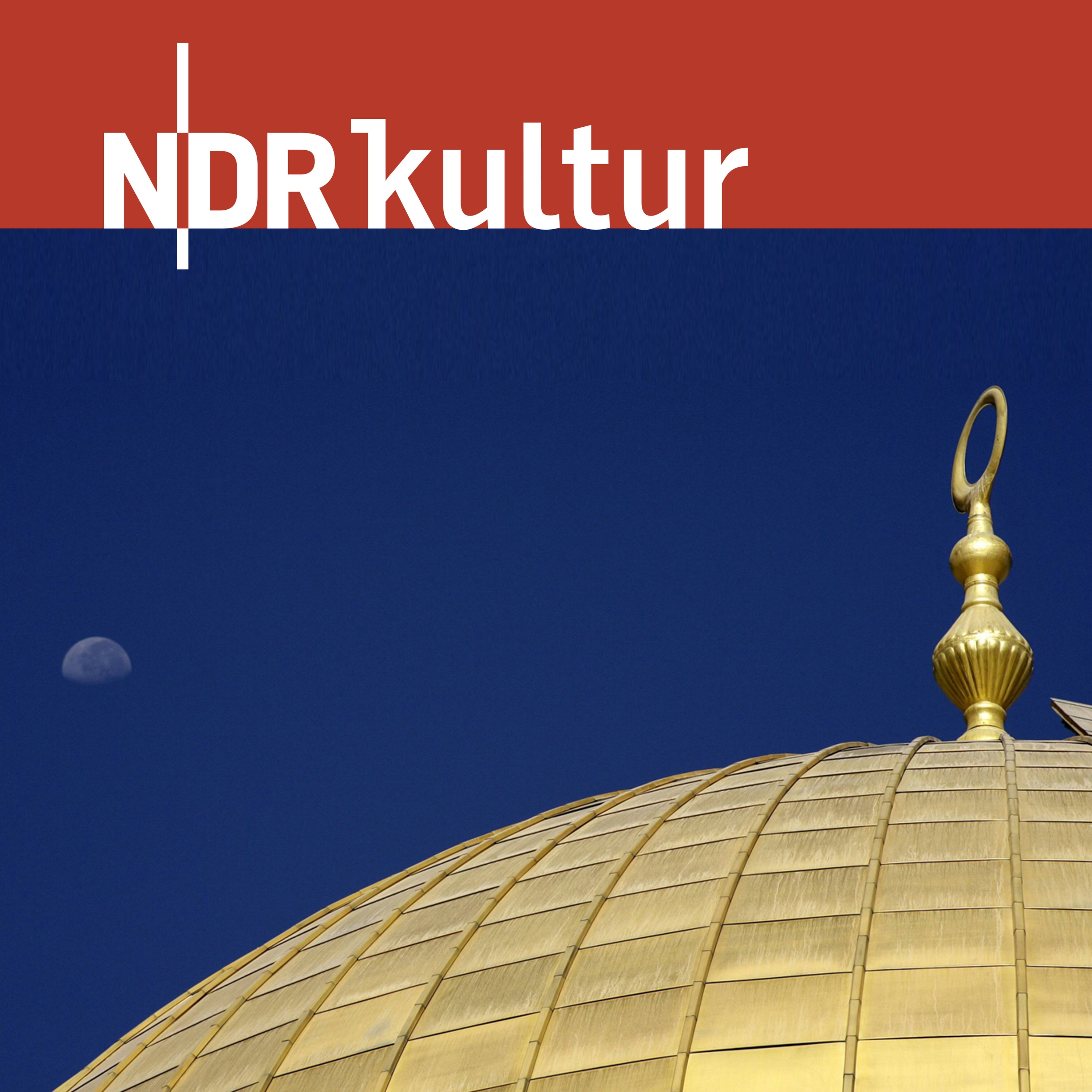 NDR Kultur - Freitagsforum