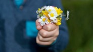 Kinderhand hält ein Strauß Gänseblümchen © photocase.de Foto: Weigand