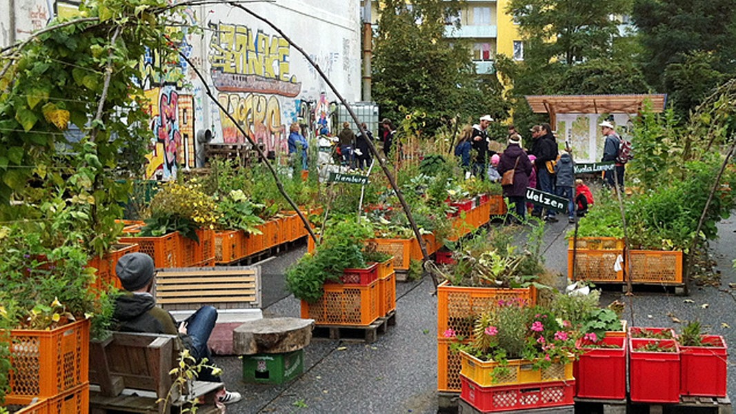 Urban Gardening beim Gartendeck Hamburg-St. Pauli | NDR.de - Ratgeber