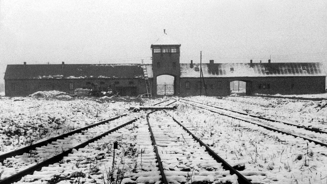 Anniversary of the liberation of Auschwitz: Today a memorial hour in the state parliament |  NDR.de – Nachrichten – Lower Saxony