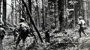 Amerikanische Soldaten laufen bei Vossenack durch den Hürtgenwald. © picture alliance / Everett Collection 