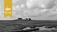 Ansicht einer Hallig Marschinsel vor der Küste in Norddeutschland, 1960er Jahre © IMAGO / United Archives Foto: Erich Andres