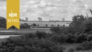 Ostholsteinische Landschaft bei Heiligenhafen, 2007. © IMAGO/Zoonar Foto: Burkhard Kuster