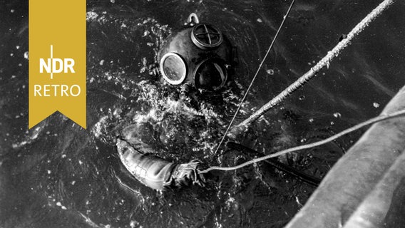 Bojentaucher im Wasser in Emden, Niedersachsen, 1950 © IMAGO / United Archives Foto: ErichxAndres