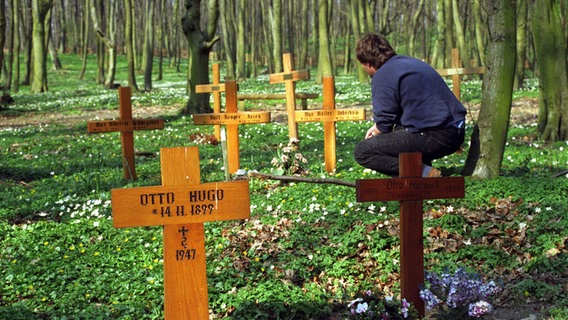 Holzkreuze erinnern im Wald von Fünfeichen bei Neubrandenburg an die zahlreichen bekannten und unbekannten Opfer des sowjetischen Internierungslagers zwischen 1945 und 1948. © picture-alliance/ ZB Foto: Jens Büttner